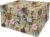 Dutch Design Brand – Dutch Design Storage Box – Opbergdoos – Opbergbox – Bewaardoos – Bloemen, Kolibrie, Vlinders – Botanical